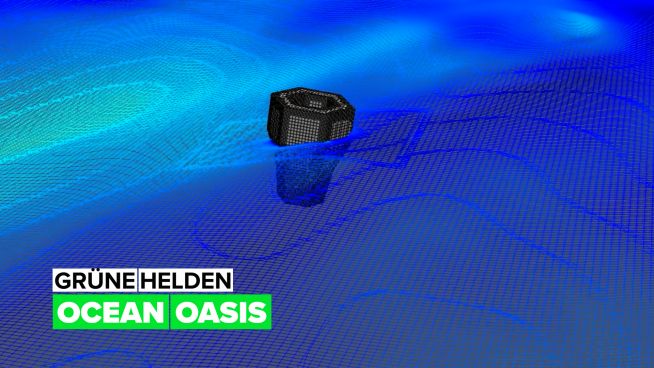 GRÜNE HELDEN: OCEAN OASIS