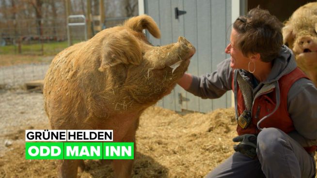 Grüne Helden: Odd Man Inn