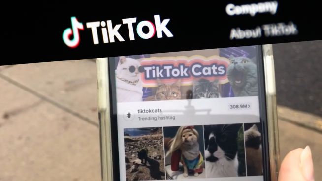 TikTok-Verbot in den USA?