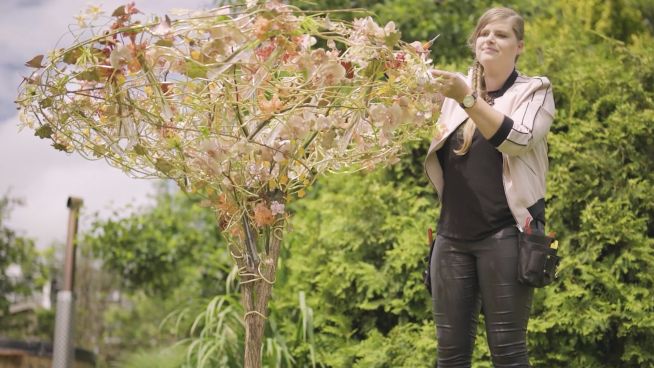 Florale Rauminstallationen der Designerin Hanneke Frankema