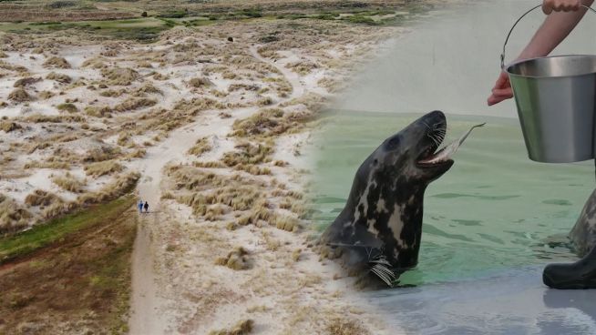 Trauminsel in der Nordsee: Texel